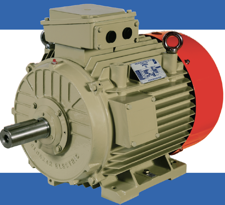 Kirloskar Electric Motor